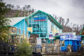 top 4 things to do on the gatlinburg strip