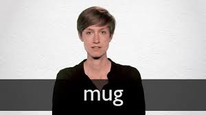 mug definition and meaning collins