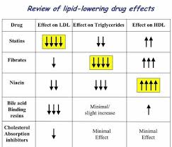 Lipid Lowering Drug Effects Nurse Practitioner School