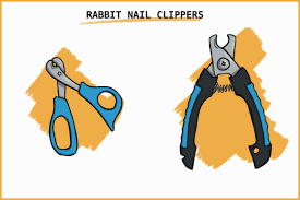 trim your rabbit s nails