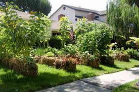 Straw Bale Gardens