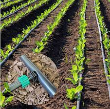 Drip Irrigation Kits Jumbo Row Crop