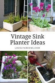 Creative Vintage Sink Planter Ideas