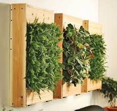 Indoor Living Wall Planters The Green