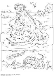 Iguana coloring pages, iguana coloring page, iguanas coloring pages, iguana color pages, iguana coloring book pages, iguana pictures. Iguana Coloring Pages Coloring Home