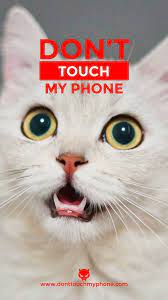 Don T Touch My Phone Cute Cat