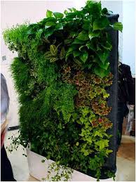 Easy To Build Indoor Green Wall For