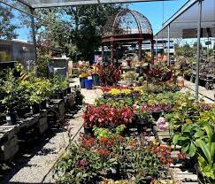 The Giant Two Acre Garden Center In