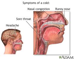 common cold medlineplus cal