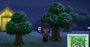 We did not find results for: Acnh Money Tree Guide How To Grow Limit Animal Crossing Gamewith