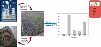 heavy metal contaminated vegetables and