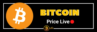 You can view growth and cumulative growth for a date range. Live Bitcoin Other Crypto Price And Charts Bitxmi Cryptocurrency Bitcoin Blockchain Bitcoin Vingle Interest Network