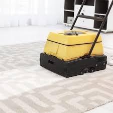 professional area rug cleaning services