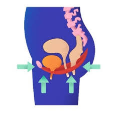 how to activate the pelvic floor