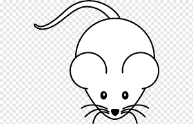 Gambar berikut adalah gambar kartun mickey mouse. Minnie Mouse Mickey Mouse Buku Mewarnai Mouse Komputer Minnie Mouse Putih Mamalia Anak Png Pngwing