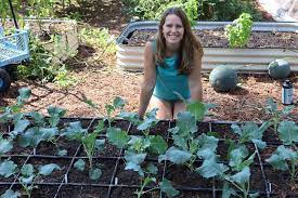 6 Raised Bed Irrigation Options For