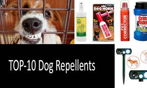 10 best dog repellents sprays