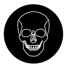 human skull icon vector ilration