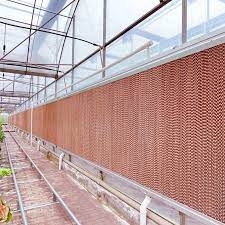 Best Quality Greenhouse Cooling Pad Wall Rose Flower Greenhouse - Buy  Greenhouse Cooling Pad,Wet Wall Greenhouse,Evaporative Cooling Pad Wall  Product on Alibaba.com