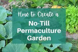 How To Create A No Till Garden The Easy