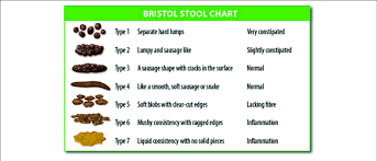 Illustration Showing The Bristol Stool Chart Source The