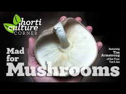 horticulture corner mad for mushrooms