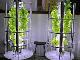 Tower Garden In Cold Climate
