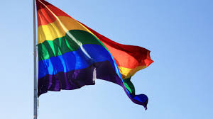 A pride flag typically refers to any flag that represents a segment or part of the lgbt community. Vi Er Stolte Stottespillere Av Pride
