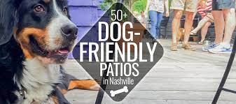 50 dog friendly patios in nashville