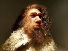 neanderthal-l | Neanderthal, Prehistoric man, Ancient humans