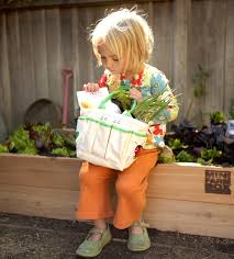 Kids Gardening Kit Minifarmbox