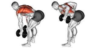 dumbbell lat exercises at home for back