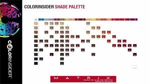 Matrix Hair Color Charts With Displaying 18 Images For