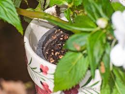 how to reuse plastic gardening pots