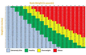 The Pros And Cons Of Bmi Body Mass Index Info You Should