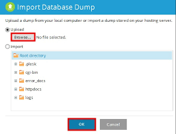 how to import mssql database windows