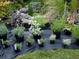 clever ways to reuse plastic gardening pots