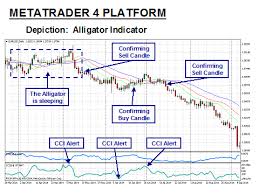 Alligator Strategy How To Use The Alligator In Forex Trading