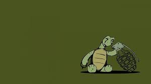 cute turtle animated turtle hd
