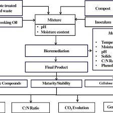 Flow Chart Showing Different Wood Samples And Parameters