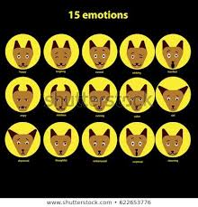 Image Result For Dog Facial Expressions Chart Dog