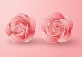 3d rose vector art icons and graphics