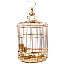 Amazon Com Bird Cage Local Gold On The Flower Version Of