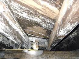 Is Mold In A Crawl Space A Health