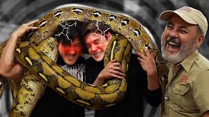 The worlds longest snake is python. Unus Annus 2 Idiots Get Crushed By 18 Foot Giant Snakes Tv Episode 2020 Imdb