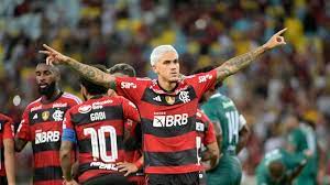 Flamengo Boavista gambar png