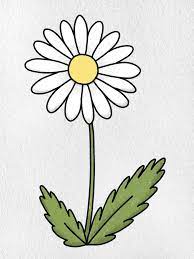 how to draw a daisy flower oartsy