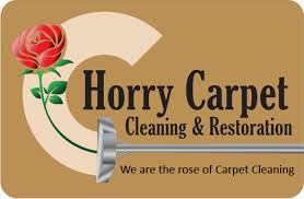 carpet cleaning services conway sc