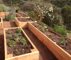 La Jolla Vegetable And Herb Garden