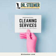 dr steemer carpet cleaning services